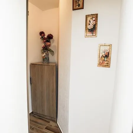 Apartment Phoenix Ivanica